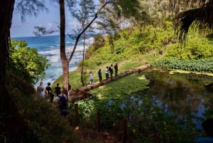 South of Mauritius: Exclusive Cliffside Hike & Natural Pool