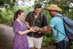Mauritius: escursione esclusiva al tramonto a Le Morne e aperitivo