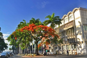 Mauritius: Exclusieve noordelijke rondreis met ophaalservice