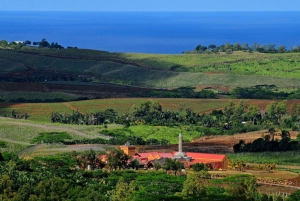 Ilhas Maurício: Excursão exclusiva ao sudoeste com serviço de busca