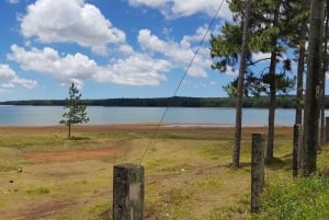 Ilhas Maurício: Excursão exclusiva ao sudoeste com serviço de busca