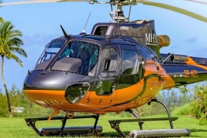 Mauritius: Privat helikoptertur till undervattensvattenfall