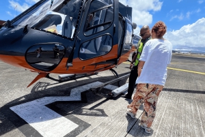 Mauritius: Privat helikoptertur till undervattensvattenfall