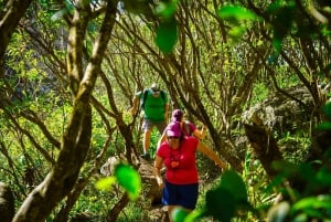 Mauritius: Exploring the Tamarind Falls with a Guide