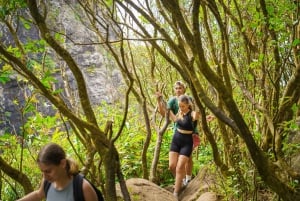Mauritius: Exploring the Tamarind Falls with a Guide