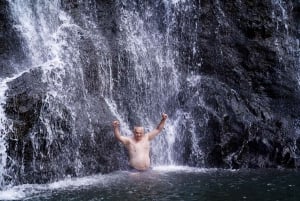 Mauritius: Exploring the Tamarind Falls with a Guide