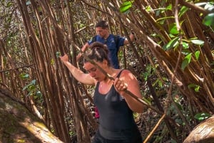 Mauritius: Exploring the Tamarind Falls with a Guide