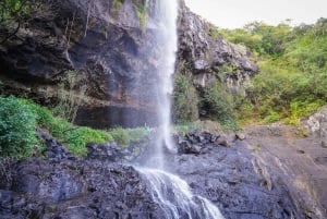 Mauritius: Exploring the Tamarind Falls with a Guide