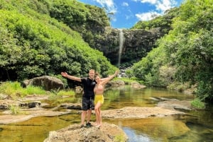 Mauritius: Exploring the Tamarind Falls with a Guide