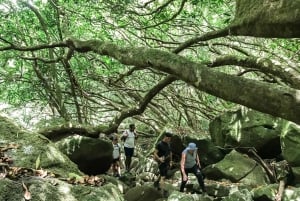 Mauritius: Exploring the Tamarind Falls with a Guide
