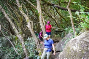 Mauritius: Exploring the Tamarind Falls with a Guide