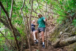 Mauritius: Exploring the Tamarind Falls with a Guide