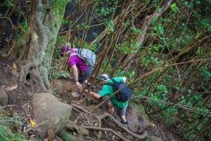 Mauritius: Exploring the Tamarind Falls with a Guide