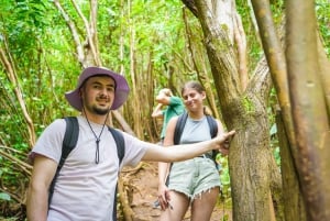 Mauritius: Exploring the Tamarind Falls with a Guide