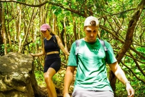 Mauritius: Exploring the Tamarind Falls with a Guide