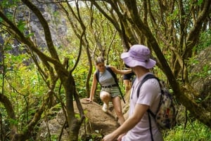 Mauritius: Exploring the Tamarind Falls with a Guide