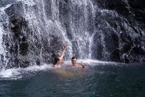 Mauritius: Exploring the Tamarind Falls with a Guide