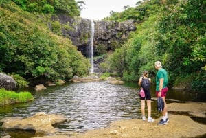 Mauritius: Exploring the Tamarind Falls with a Guide