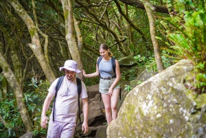 Mauritius: Exploring the Tamarind Falls with a Guide