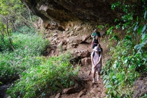 Mauritius: Exploring the Tamarind Falls with a Guide