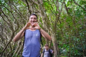 Mauritius: Exploring the Tamarind Falls with a Guide