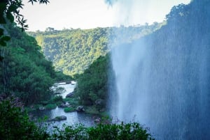 Mauritius: Exploring the Tamarind Falls with a Guide