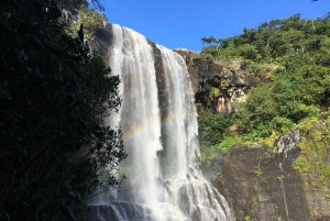 Mauritius: Full Canyon Tamarind Falls 5-Hour Hike
