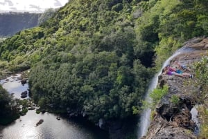 モーリシャス：タマリンド滝渓谷を巡る 5 時間ハイキング