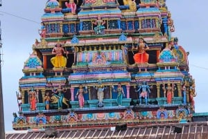 Mauritius: całodniowa wycieczka motocyklowa enduro w terenie