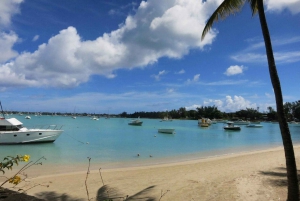 Mauritius Full Day North Tours