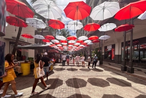 Ganztagestouren im Norden von Mauritius