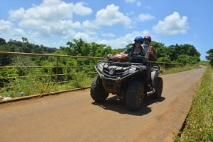 Mauritius: Tour di un giorno in quad con pranzo