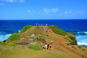 Mauritius: Tour di un giorno in quad con pranzo