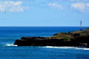 Mauritius: Tour di un giorno in quad con pranzo