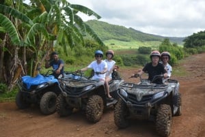 Mauritius: Tour di un giorno in quad con pranzo