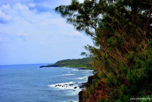 Mauritius: Tour di un giorno in quad con pranzo