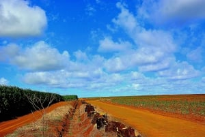 Mauritius: Tour di un giorno in quad con pranzo