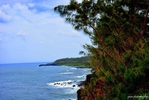 Mauritius: Tour di un giorno in quad con pranzo