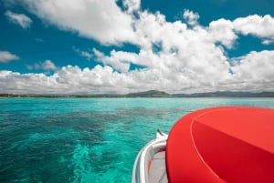 Full-Day Speedboat Tour to Ile aux Cerfs & BBQ