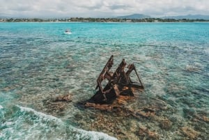 Mauritius: Full-Day Speedboat Tour to Ile aux Cerfs & BBQ