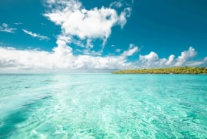 Mauritius: Full-Day Speedboat Tour to Ile aux Cerfs & BBQ