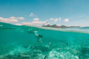 Mauritius: Full-Day Speedboat Tour to Ile aux Cerfs & BBQ