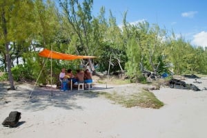 Mauritius: Full-Day Speedboat Tour to Ile aux Cerfs & BBQ