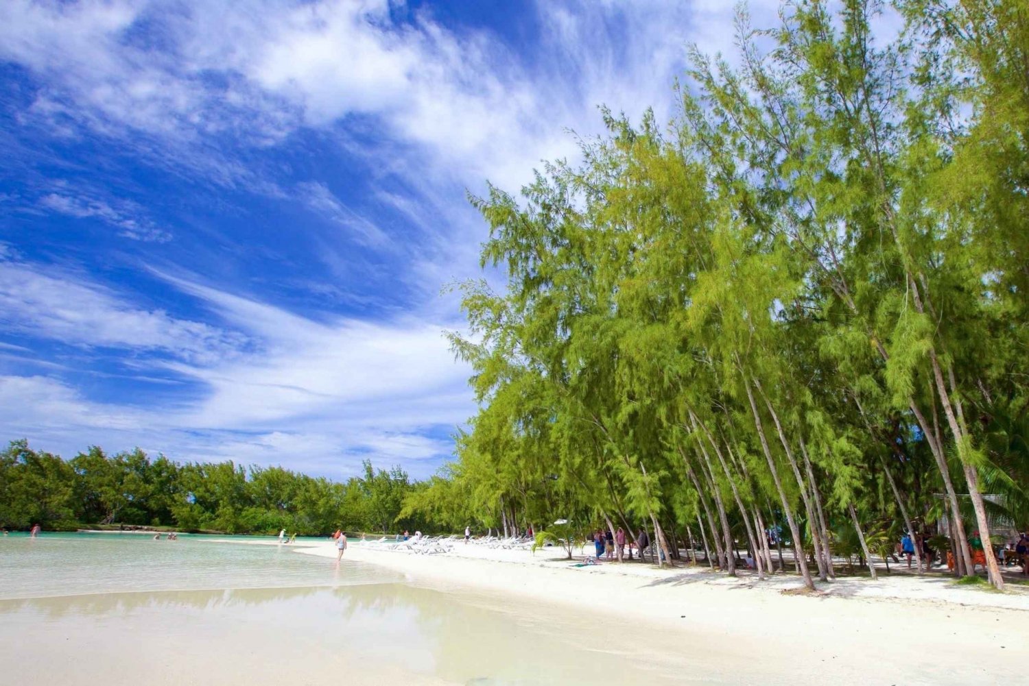 Trou D'eau Douce: Full-Day Ile aux Cerfs Boat Tour w/ BBQ