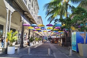 Maurícia: Excursão de 1 dia ao Norte com transfer do hotel