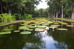 Mauritius: Ganztagestour in den Norden mit Hoteltransfer