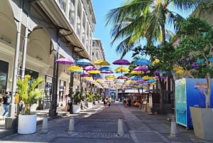 Mauritius: Ganztagestour in den Norden mit Hoteltransfer