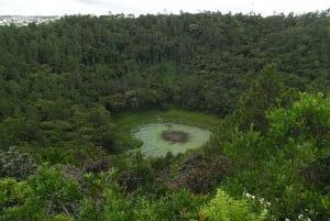 Maurice : visite d'une journée du sud-ouest
