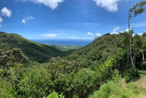 Maurice : visite d'une journée du sud-ouest