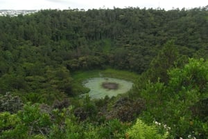 Mauritius: Koko päivän kierros lounaisessa